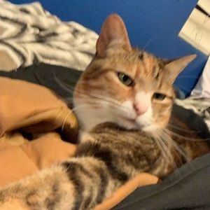 Meet your Posher, Jacob